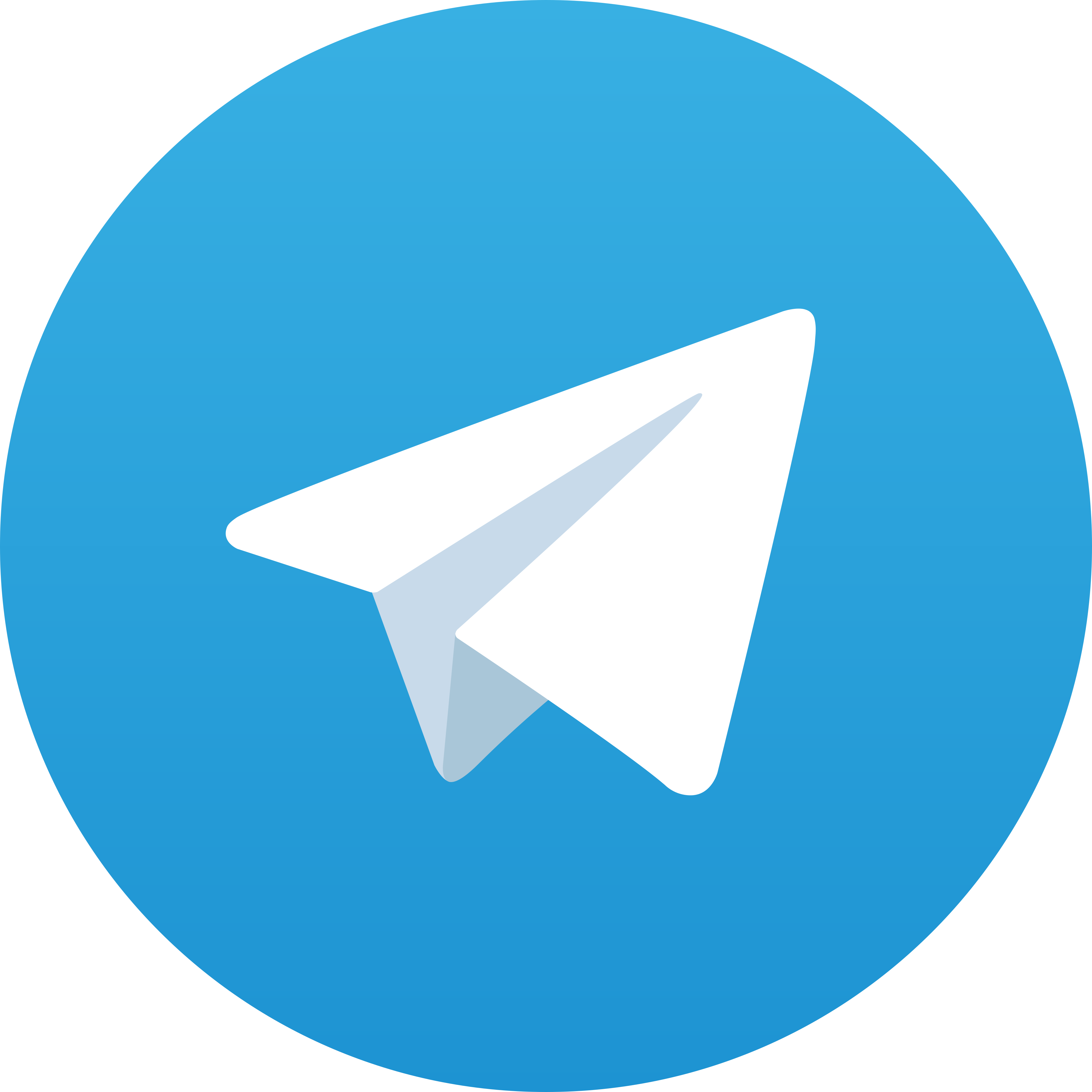 Telegram BCA77
